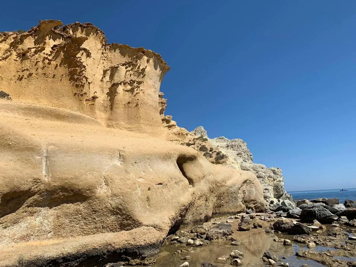 Birds Paradise Vera Coast Los Amarguillos